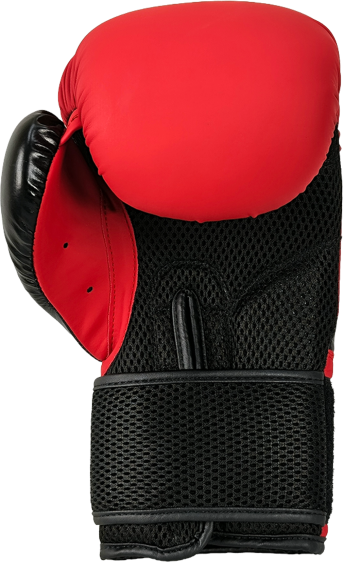 Rękawice bokserskie RPU-CHERRY 10 oz - obrazek 6