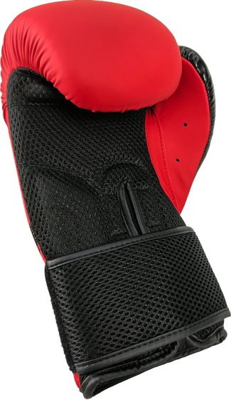 Rękawice bokserskie RPU-CHERRY 10 oz - obrazek 10